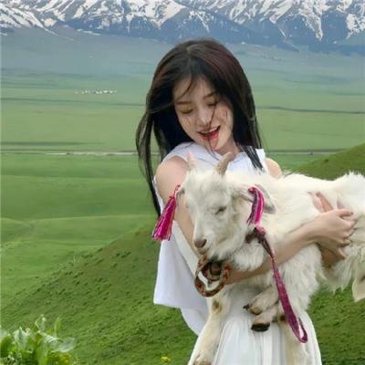 铁血战狼